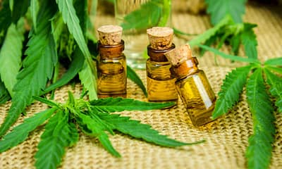 what-to-look-for-when-buying-cbd-oil